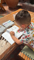 Child coloring Alligator coloring page from Animals, Insects and Ocean Friends Coloring Book from Ermenrich Designs on brown wood table. Ages 3+